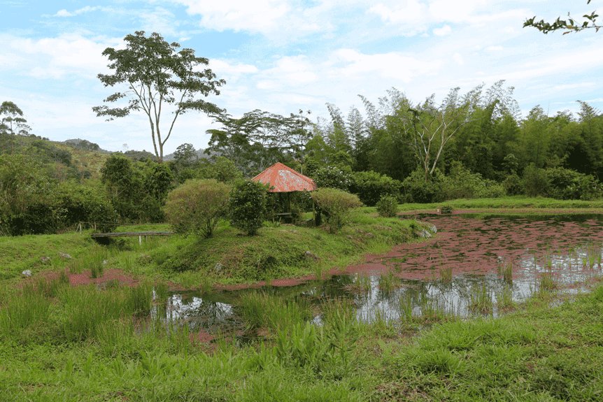 Estación Experimental de Campo José Celestino Mutis