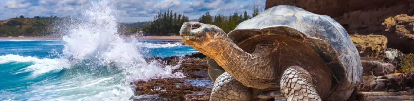 Explora Galápagos: Volcanes, Biodiversidad y Evolución