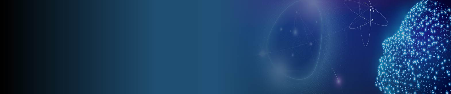 Q-AI: Summer School on Quantum Artificial Intelligence