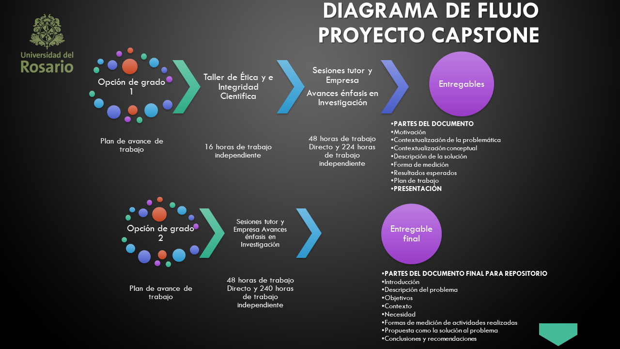 capstone-grafica-2_0.png