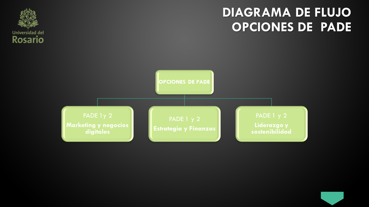 pade-grafica-4.png