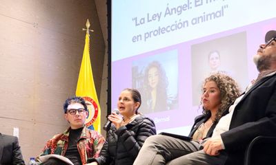 Implicaciones de la Ley Ángel. Expertos y activistas analizan los avances y retos de la nueva normativa para la protección animal