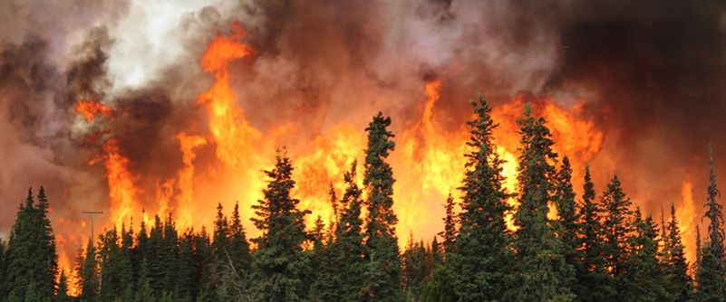 Estudio revela aumento global de los incendios forestales debido al cambio climático, a pesar de las intervenciones humanas