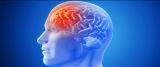 Salud cerebral, la clave para el bienestar y la prevención de enfermedades neurológicas