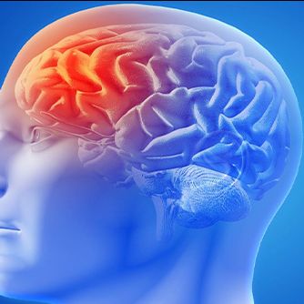 Salud cerebral, la clave para el bienestar y la prevención de enfermedades neurológicas