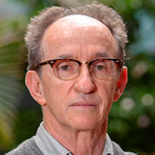 José Leibovich