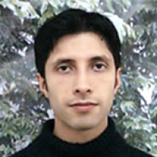 Mauricio Nava, M.D, MSc,PhD.