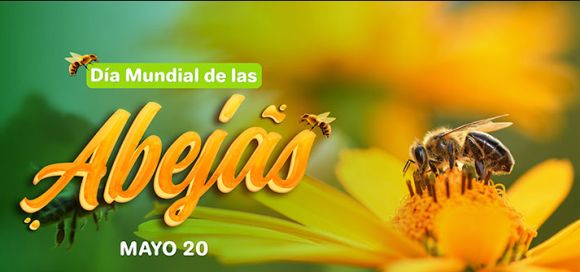 Día mundial de las abejas 