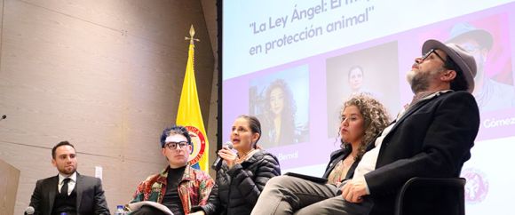 Implicaciones de la Ley Ángel. Expertos y activistas analizan los avances y retos de la nueva normativa para la protección animal