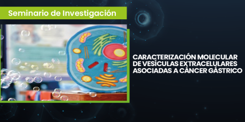 Banner evento 