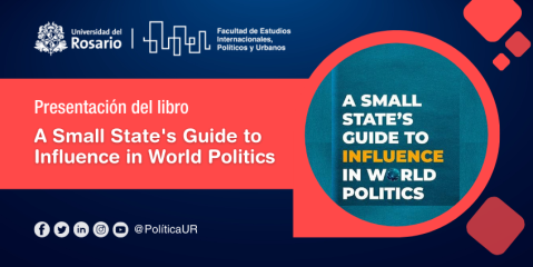 libro A Small State's Guide 