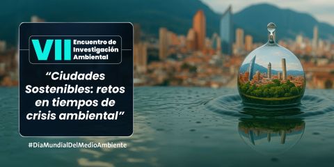 Seminario "Ciudades Sostenible: retos en tiempos de crisis ambiental". VII Encuentro de Investigación Ambiental