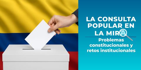 la-consulta-popular-en-la-mira