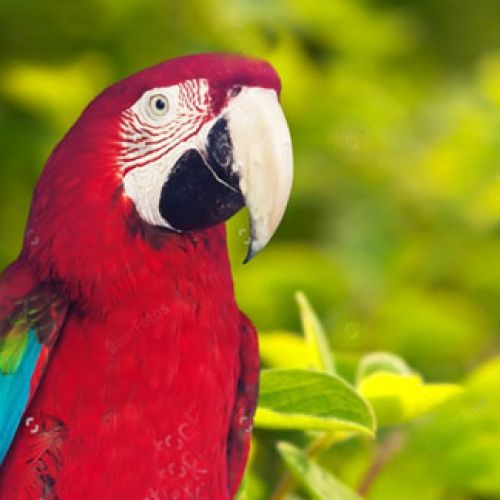 biodiversidad